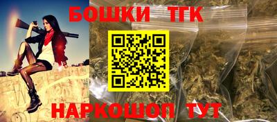 МДПВ Татарск