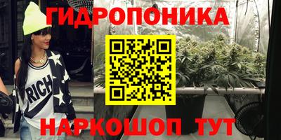 МДПВ Татарск